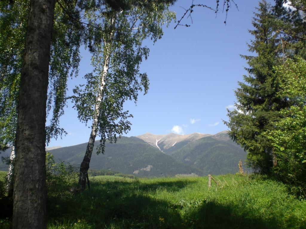 Vila Chalupa u Porubäna Liptovsky Ondrej Exteriér fotografie